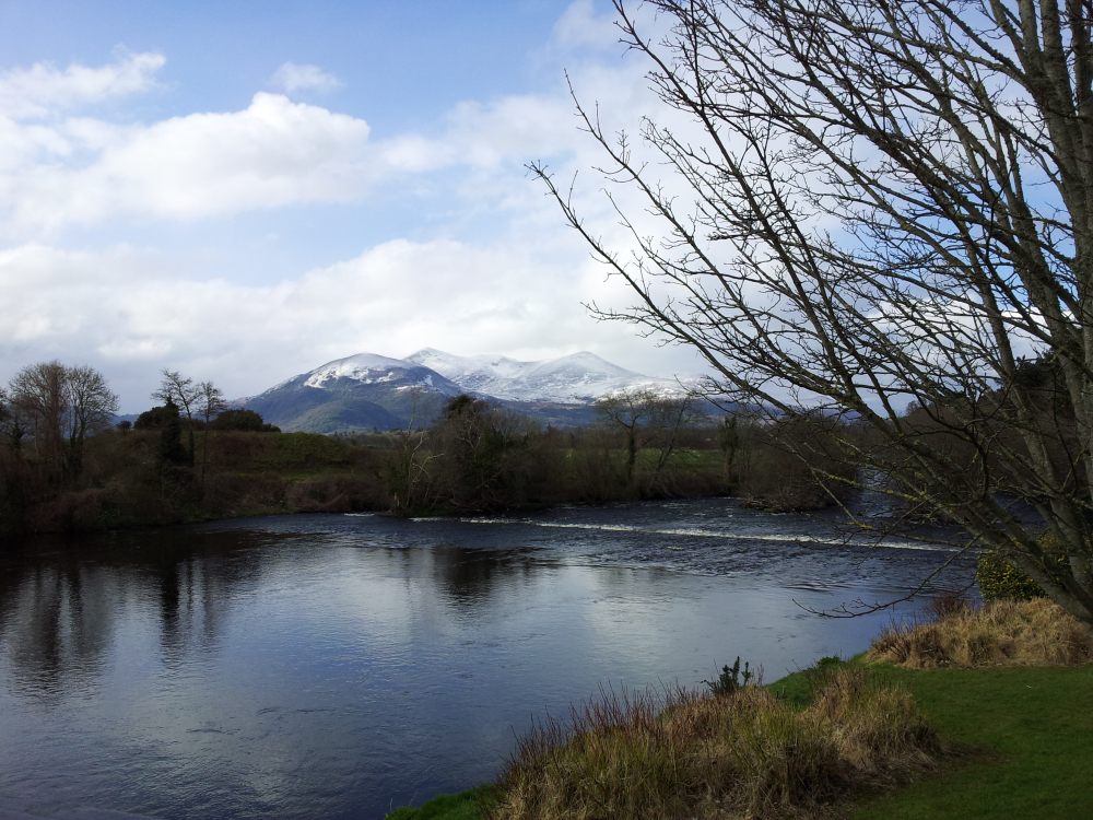 View from Killarney National Park over to the MacGillycuddy's Reeks mountain range