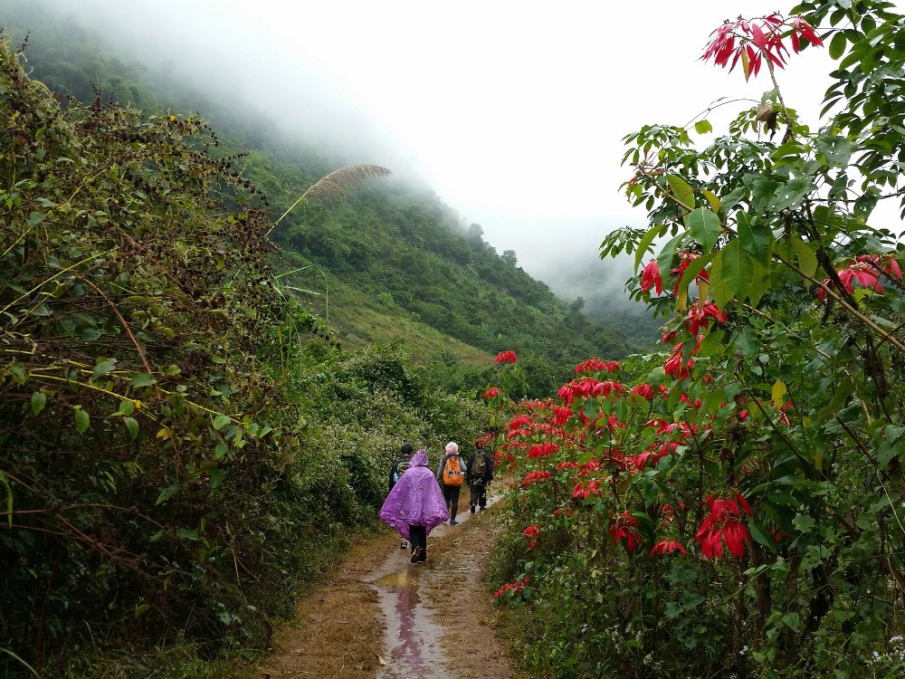 Hiking to Kuang Si Waterfalls, on a rainy day